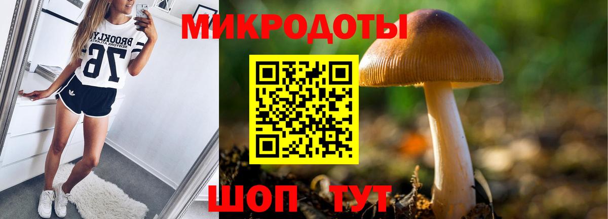 Галлюциногенные грибы Magic Shrooms  Галлюциногенные грибы Cubensis  Вход с VPN  купить наркоту  Зеленокумск 